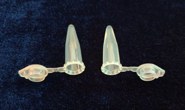 Diagnostic Moulds