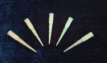 Diagnostic Moulds